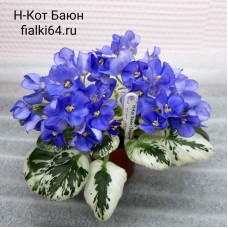 Н-Кот Баюн (Бердникова)  